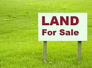 Land for sale Precisely Pedro Gbagada Phase 1 Gbagada Lagos