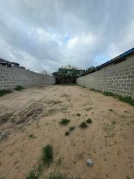 Land for sale Werewere Command Ipaja road Ipaja Lagos