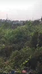 Land for sale Near International Breweries Along Sagamu Siun Road, Sagamu Interchange Kajola Obafemi Owode Ogun