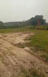Land for rent Off Kunsela Road, Ikate Lekki Lagos