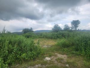 Land for sale Lagos/ Ibadan Expressway Ibadan Oyo