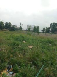 Land for rent Eleganza Mall VGC Lekki Lagos