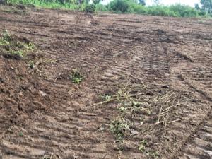 3 bedroom Land for sale Wasa Apo Abuja