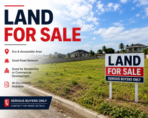 Land for sale Oke-Ira Ogba Lagos