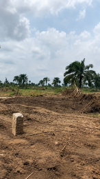 Land for sale Behind Ust Faculty Of Agriculture Etche Rivers