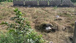 Land for sale  Oke-Ira Ogba Lagos