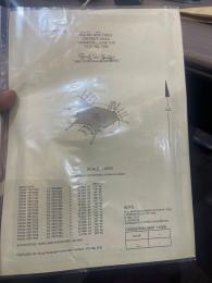 Land for sale Wasa Abuja Phase 2 Abuja