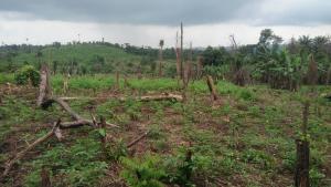 Land for sale At Different Locations Akinyele Oyo
