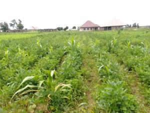 Land for sale Mahuta Oil Village Chikun Kaduna