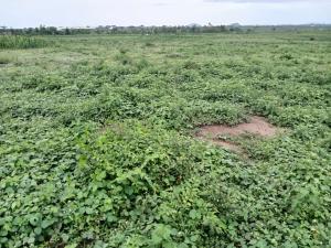 Land for sale Lake Side View Estate Kuje Abuja