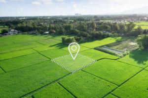 Land for sale Banana Island Ikoyi Lagos