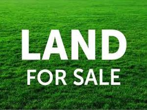 Land for sale Abijo Gra Scheme Ajah Lagos
