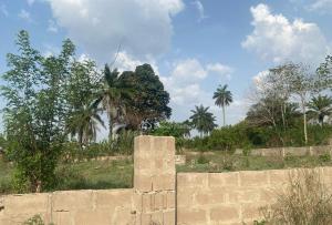Land for sale Odo Family Layout, Off Palmview Estate Extension, Alagbaka, Akure Ondo