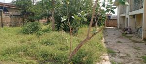 10 bedroom House for sale Opposite Fresh Fm Challenge Challenge Ibadan Oyo