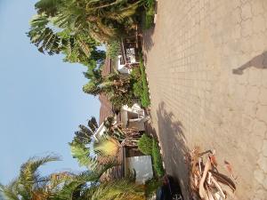 5 bedroom House for rent Asokoro Abuja Diplomatic Zone Asokoro Abuja