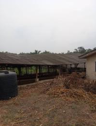Land for sale @ Ebute Area, Ibafo, Off Lagos/ibadan Expressway, Ogun State Ibafo Obafemi Owode Ogun
