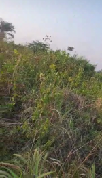 Land for sale Epe Road Epe Lagos
