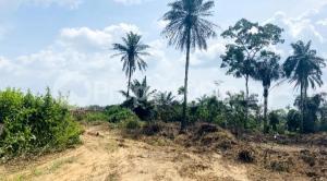 Land for sale Glamour Estate, Epe Ijebu Ode Expressway, Ijebu Ode Ijebu Ode Ogun