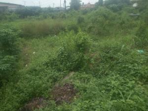 Land for sale Maplewood Estate Oko oba Agege Lagos