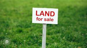 Land for sale Banana Island Ikoyi Lagos
