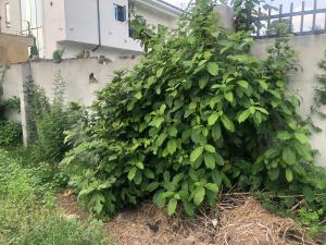 Land for sale Sobo Arobiodu Ikeja GRA Ikeja Lagos