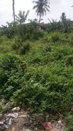 Land for sale Facing Ife Ibadan Express Way Egbeda Oyo
