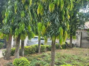 5 bedroom House for sale Tunji Bello Street New Bodija Ikolaba Ibadan Oyo