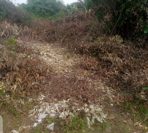 Land for sale Leso Village Excision Eleranigbe Ibeju Lekki Eleranigbe Ibeju-Lekki Lagos