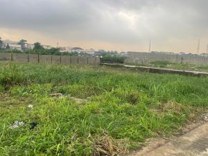 Land for sale Abak Road By Ekomima Junction Uyo Akwa Ibom