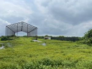 Land for rent Facing Expressway After Dangote Refinery, Iberekodo Ibeju-Lekki Lagos