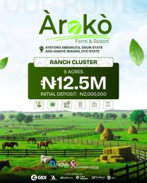Land for sale Aiyetoro/ Árokò Farm & Resort Estate/ Abeokuta Ogun