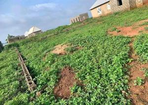 Land for sale Masaka Area 1 Karu Nassarawa