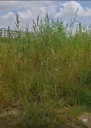 10 bedroom Land for sale Lekki Foreshore Lekki 1 Lekki Phase 1 Lekki Lagos