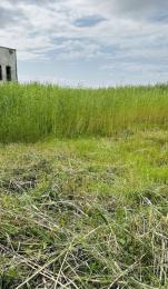 Land for sale Northern Foreshore Estate, chevron Lekki Lagos