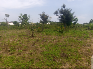 5 bedroom Land for sale Grandeur Estate, Kuchiyako District Kuje Abuja