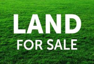 Land for sale Off Ajayi Road Oke Ira, Ajayi road Ogba Lagos