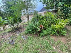 Land for sale Ikolaba / Agodi Gra Road Bodija Ibadan Oyo