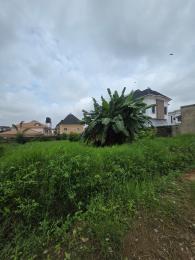 Land for sale Carlton Gate Estate, Akobo Ibadan Oyo