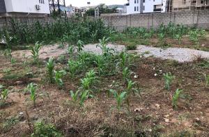 Land for sale Kubwa Abuja