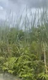 Land for sale Amity Estate Abijo Ajah Lagos