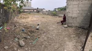 Land for sale Lagos Business School, University View Estate Abraham adesanya estate Ajah Lagos