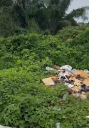 Land for sale Behinde Blenco Supermarket Sangotedo Ajah Lagos