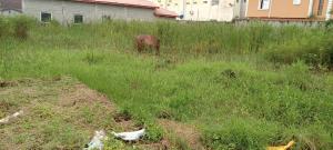 Land for sale Cannan Estate Olokonla Olokonla Ajah Lagos