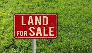 Land for sale Unity Estate Idimu Egbe/Idimu Lagos