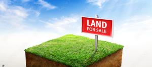 Land for sale Osapa london Lekki Lagos