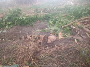 Land for sale Labak Estate Oko oba Agege Lagos