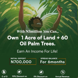 Land for sale Iseyin Saki Road/ Palm City Estate/ Iseyin Oyo