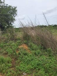 Land for sale Free Trade Zone Eleko Ibeju-Lekki Lagos
