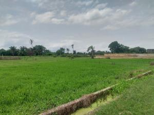 10 bedroom Land for sale Opic Estate Isheri North Ojodu Lagos