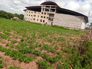 Land for sale Goldenspring Estate Duboyi Abuja